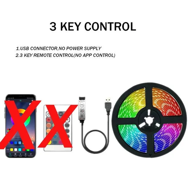 RGB LED Strip Lights