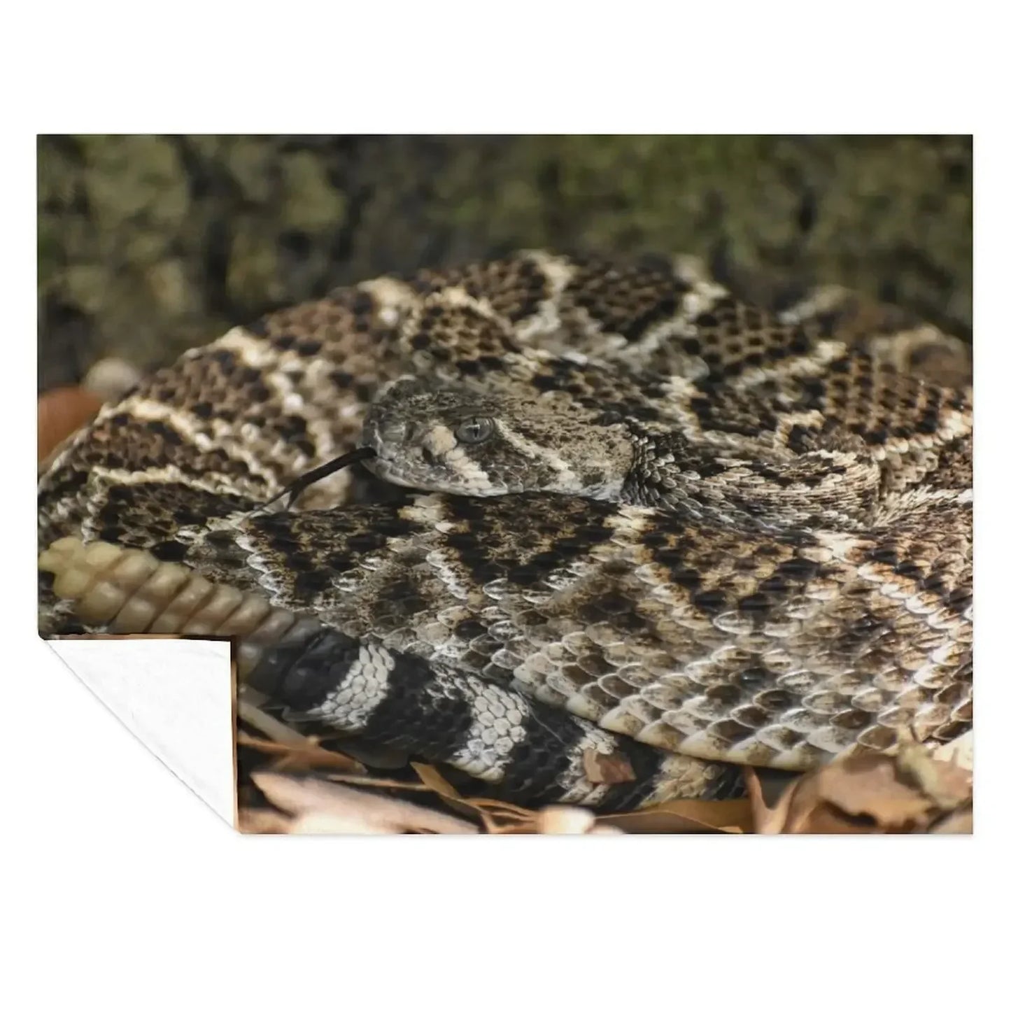 Western Diamondback Rattlesnake Throw Blanket