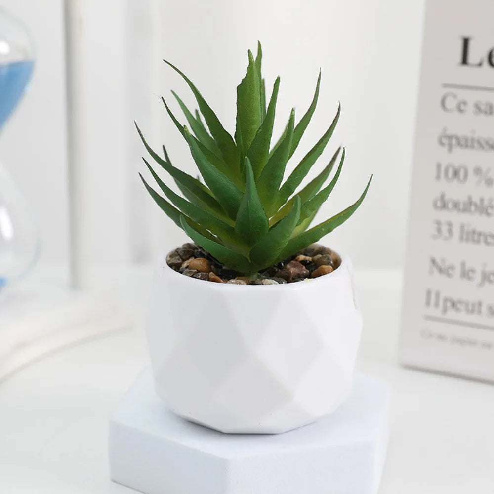 Potted Artificial Succulents