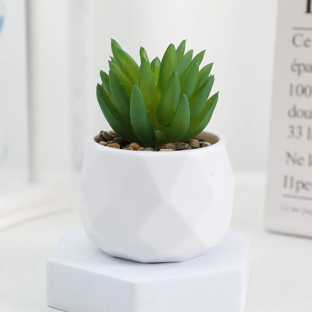 Potted Artificial Succulents