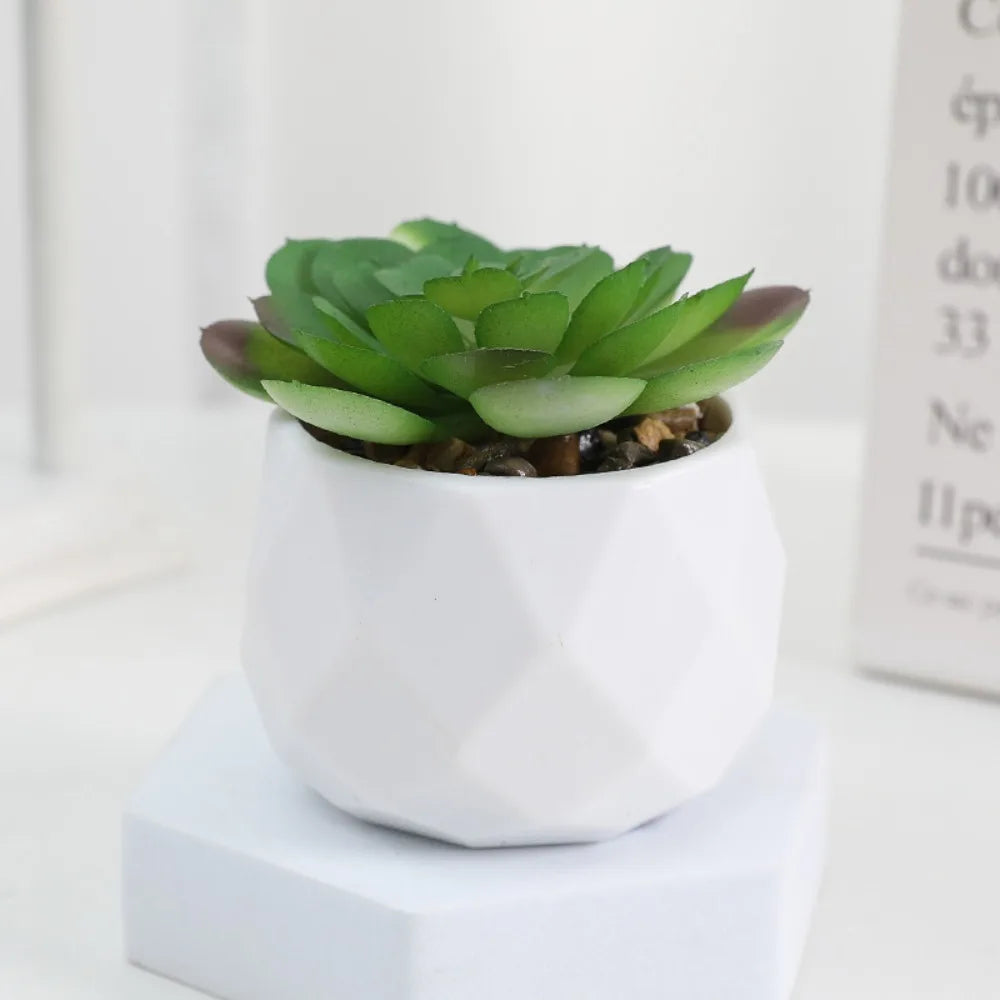 Potted Artificial Succulents
