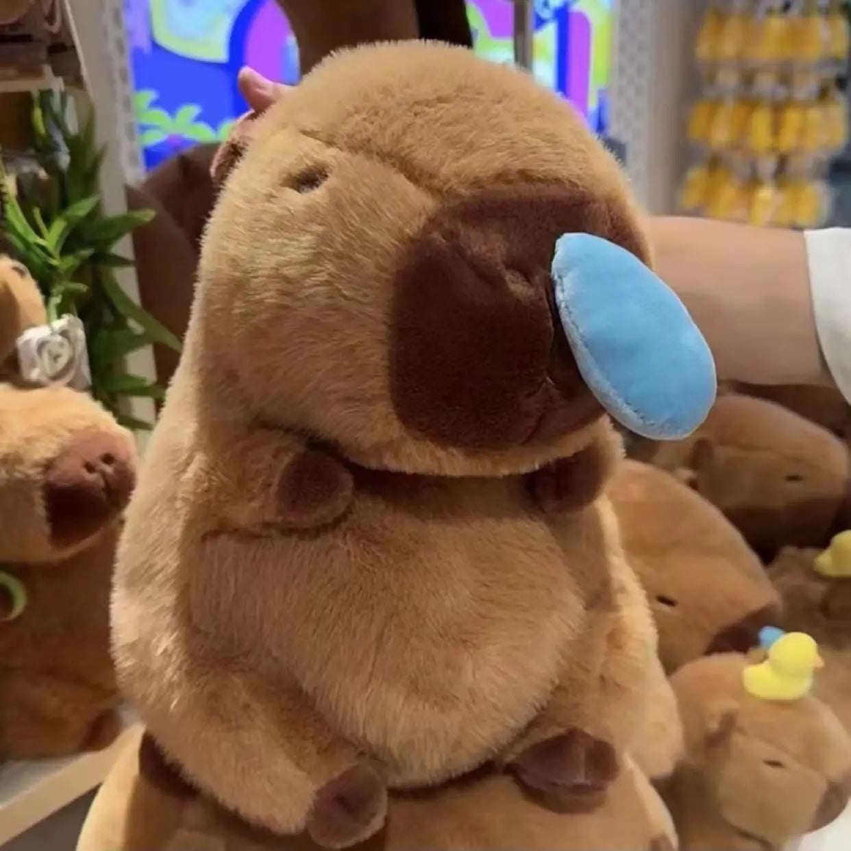 Cute Capibara Plushie