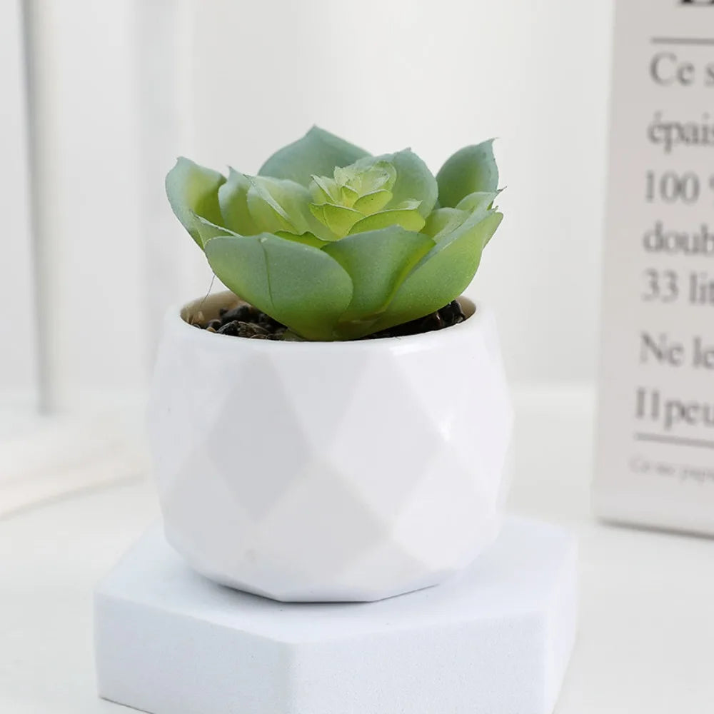 Potted Artificial Succulents
