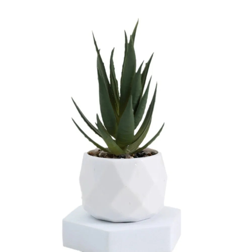 Potted Artificial Succulents