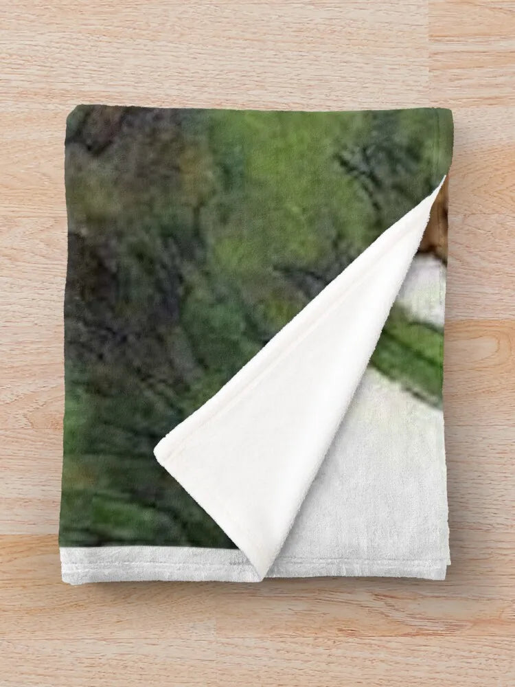 Frog and Toad Throw Blanket