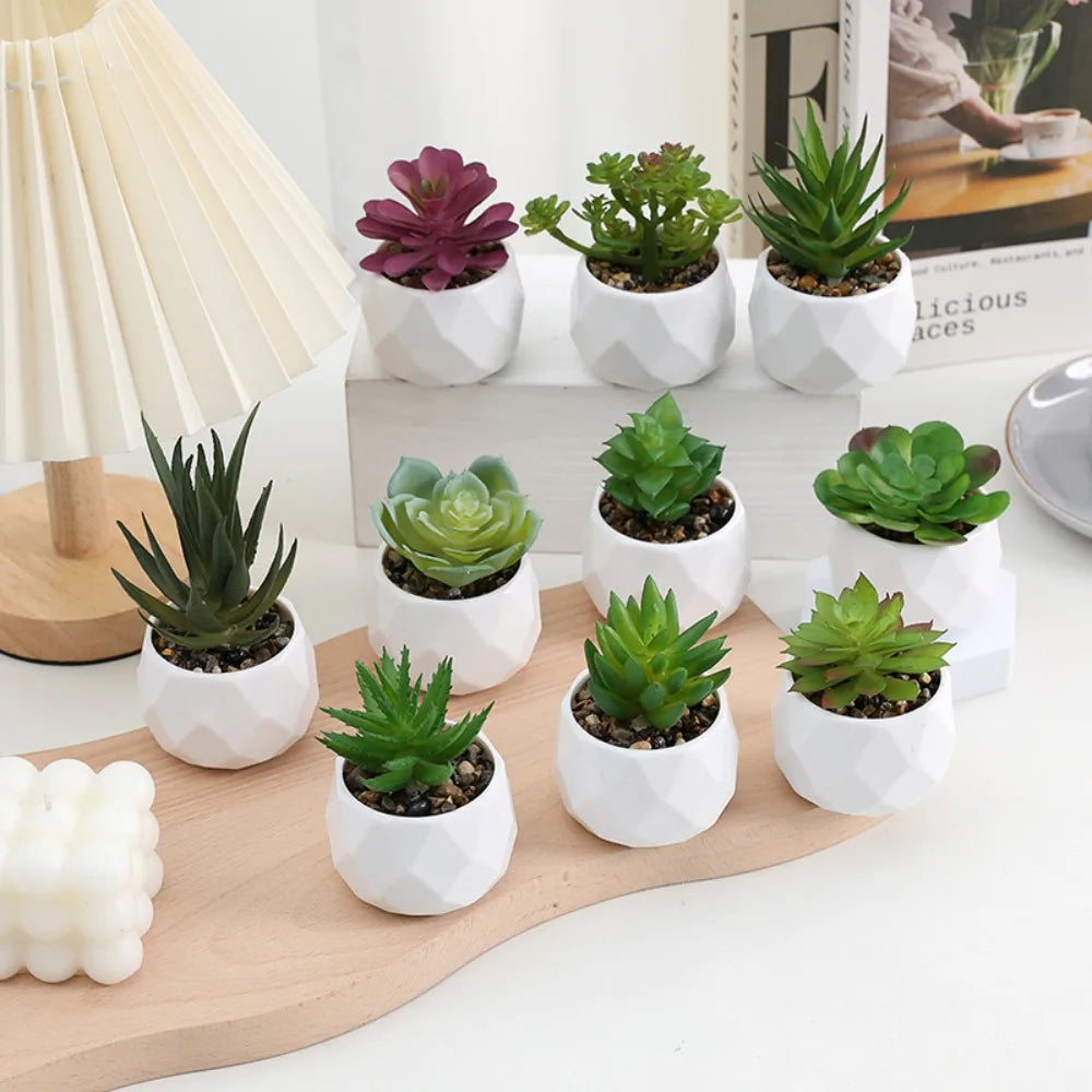 Potted Artificial Succulents
