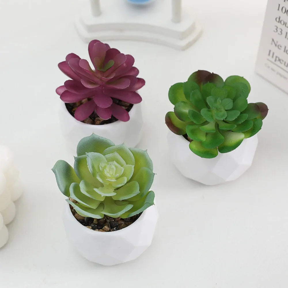 Potted Artificial Succulents