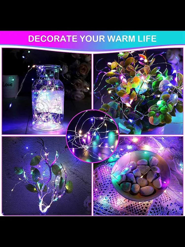 Colored Fairy Lights