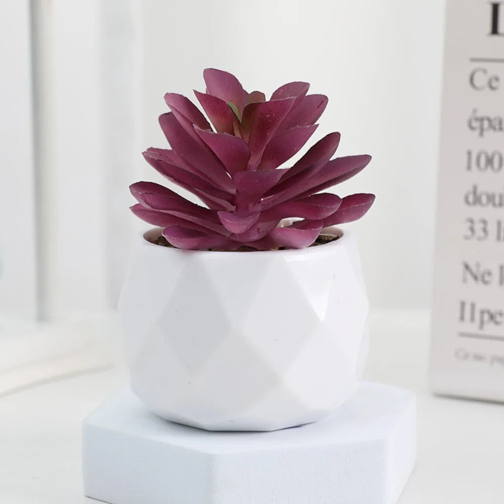 Potted Artificial Succulents