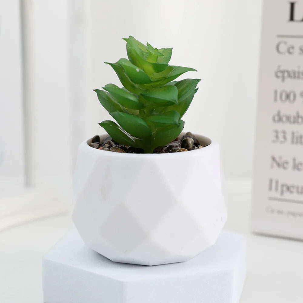 Potted Artificial Succulents