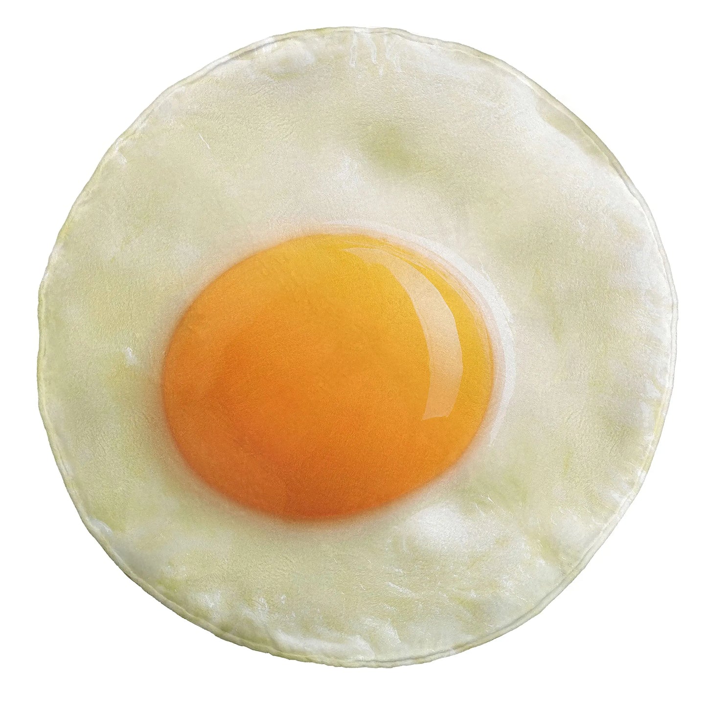 Funny/Realistic Soft Food Blankets