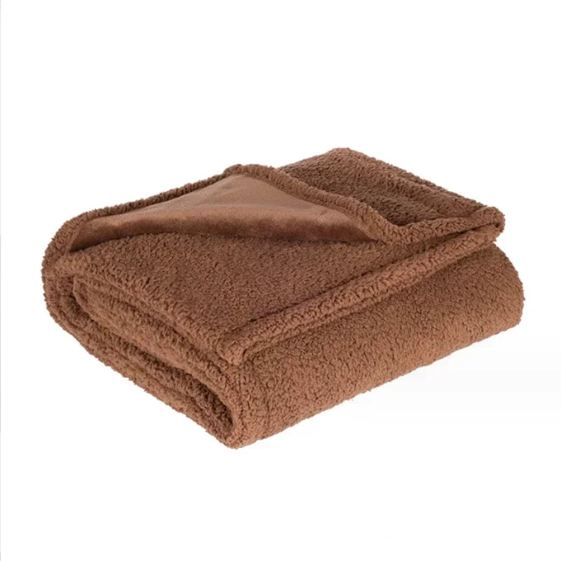 Luxury Thick Shaggy Blankets