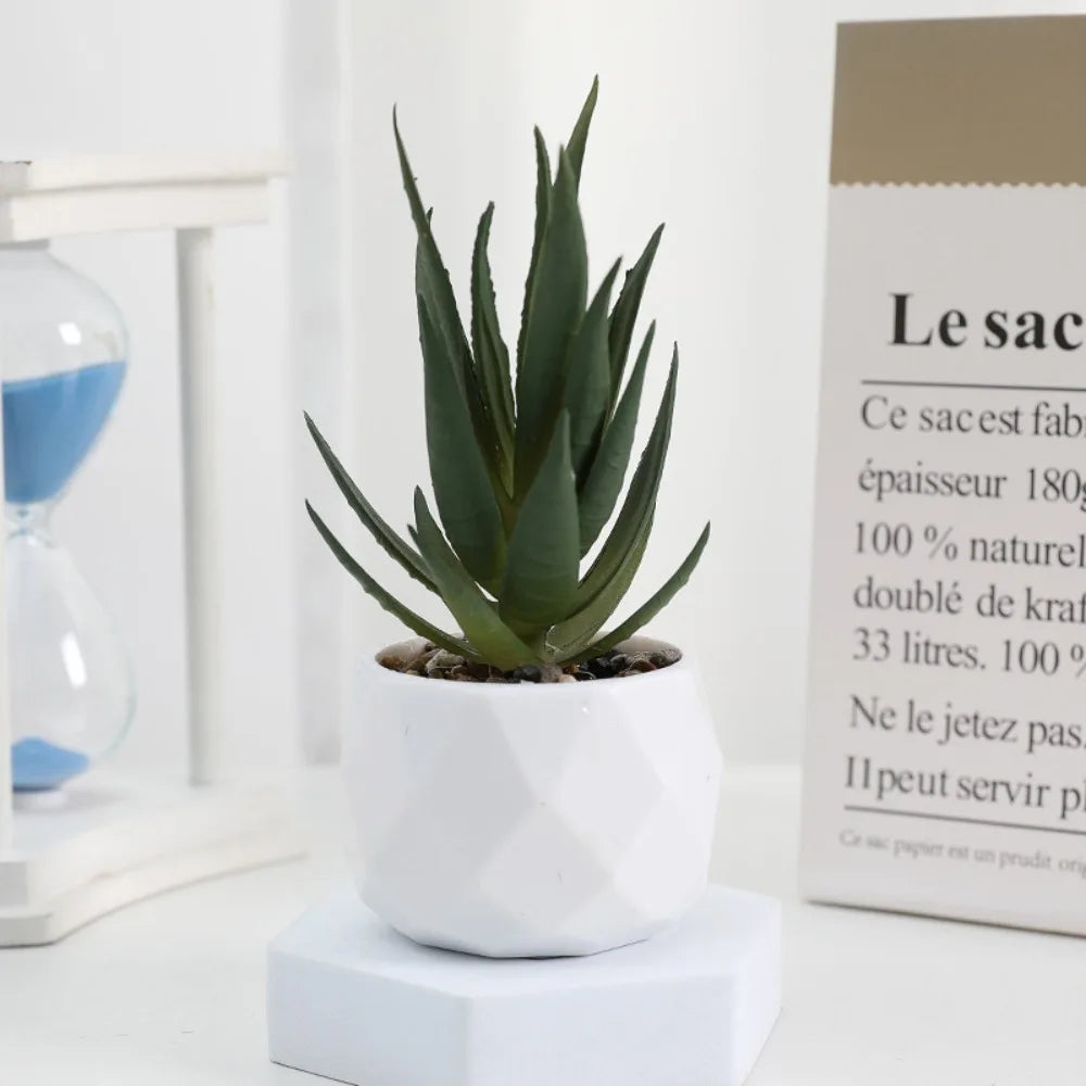 Potted Artificial Succulents