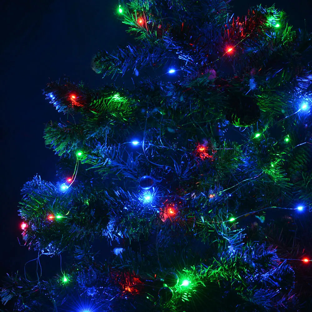 1000/500LED Fairy String Lights