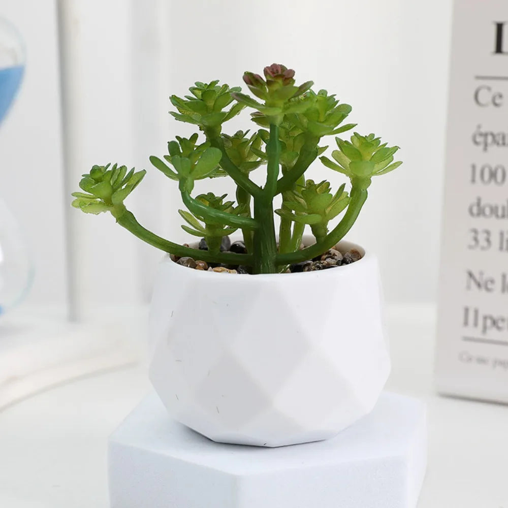 Potted Artificial Succulents