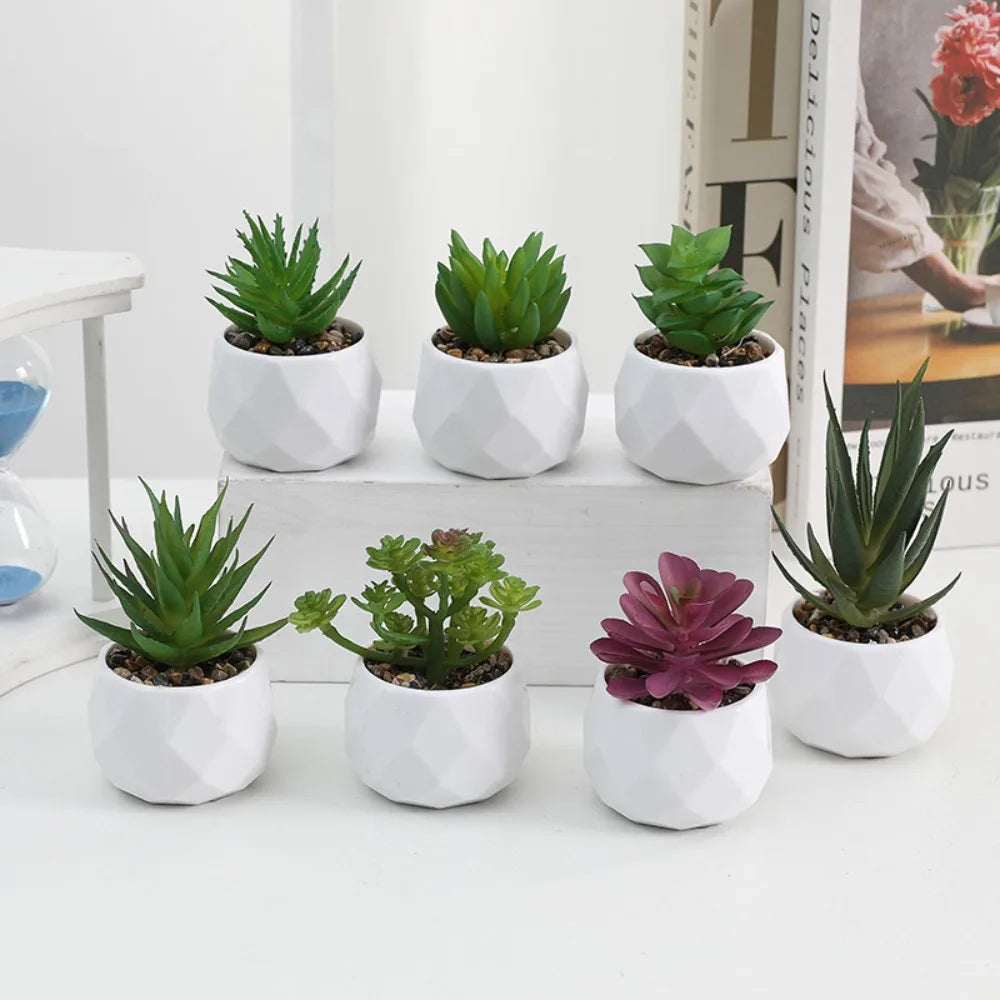 Potted Artificial Succulents