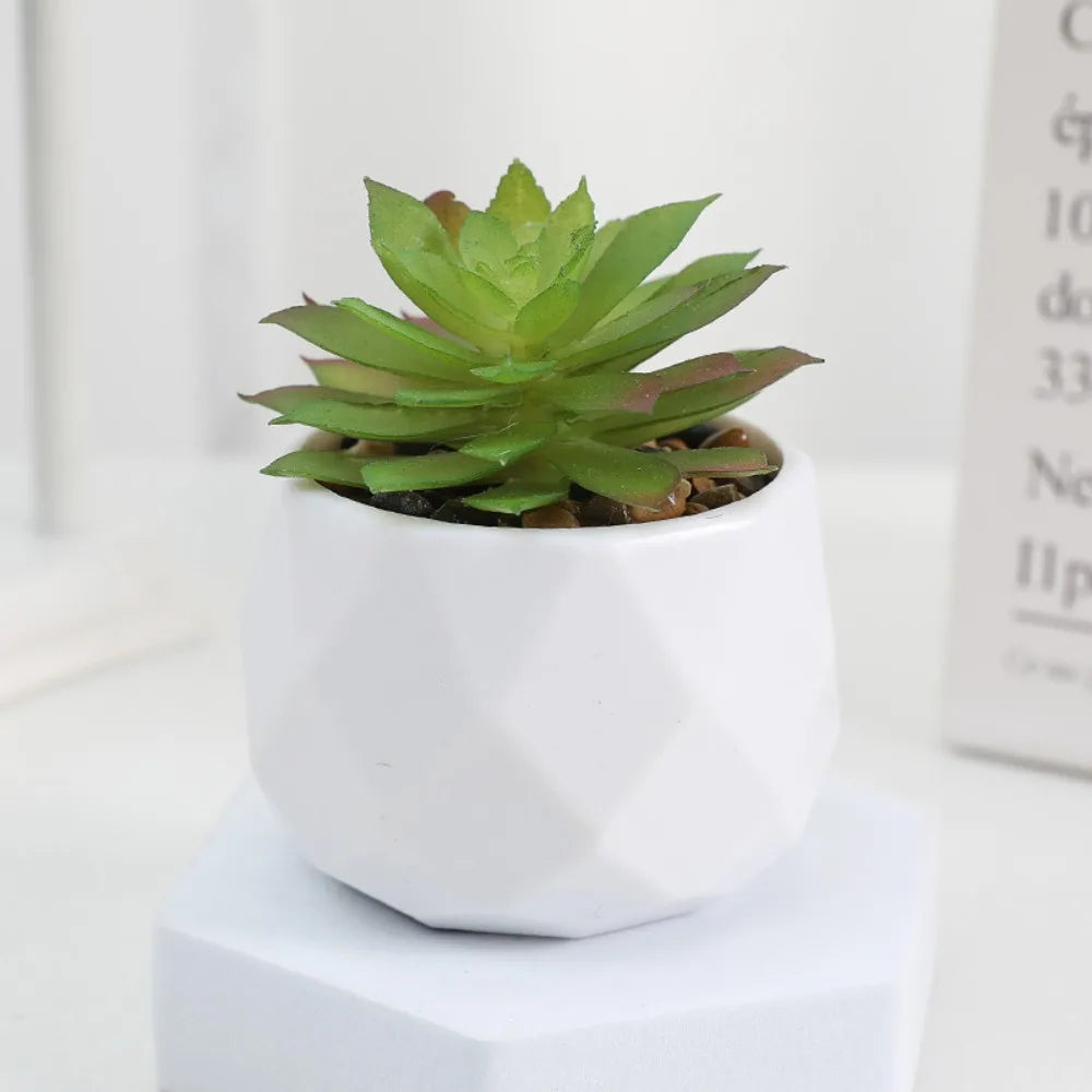 Potted Artificial Succulents