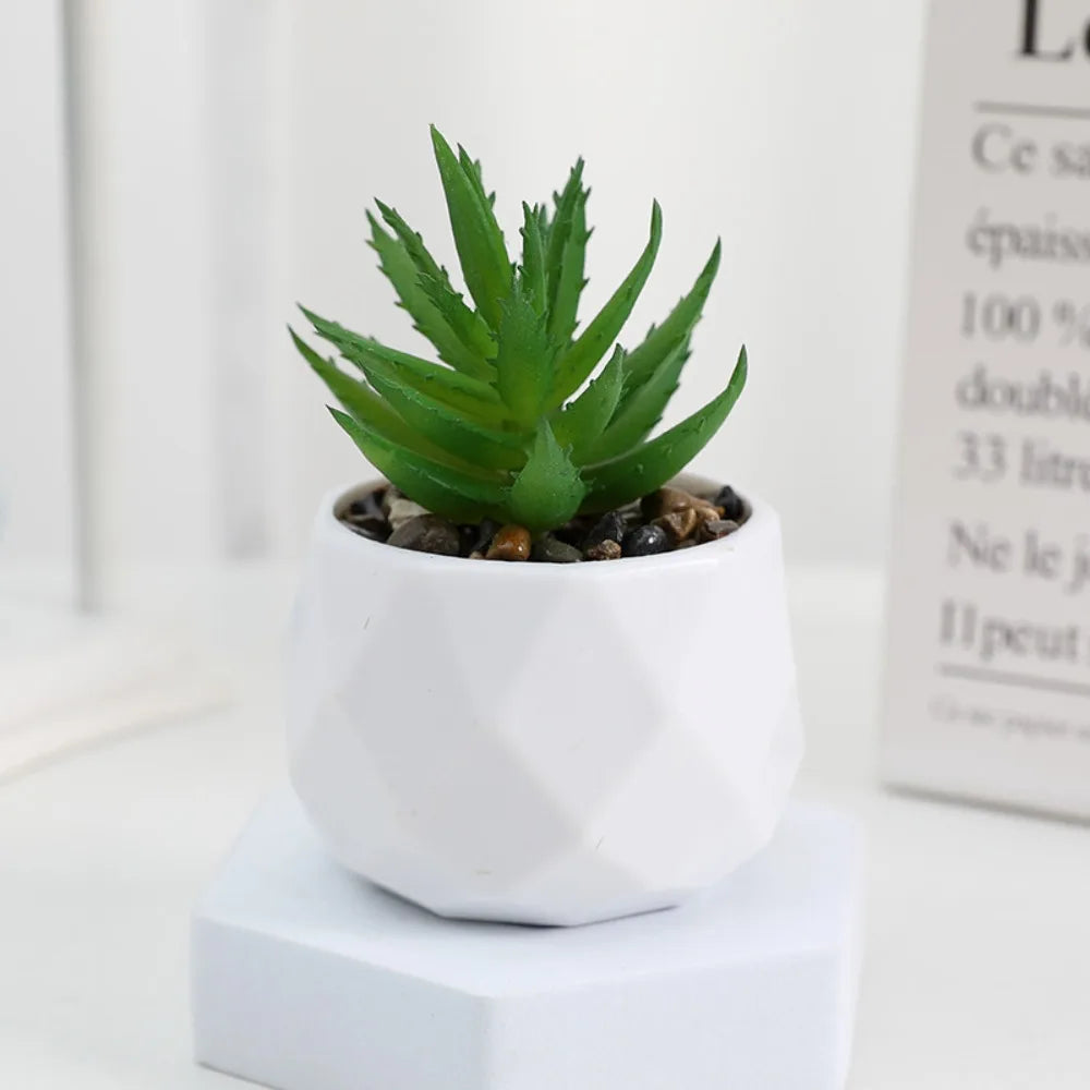 Potted Artificial Succulents