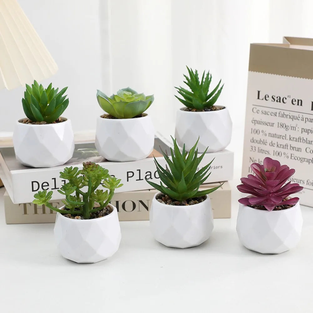 Potted Artificial Succulents