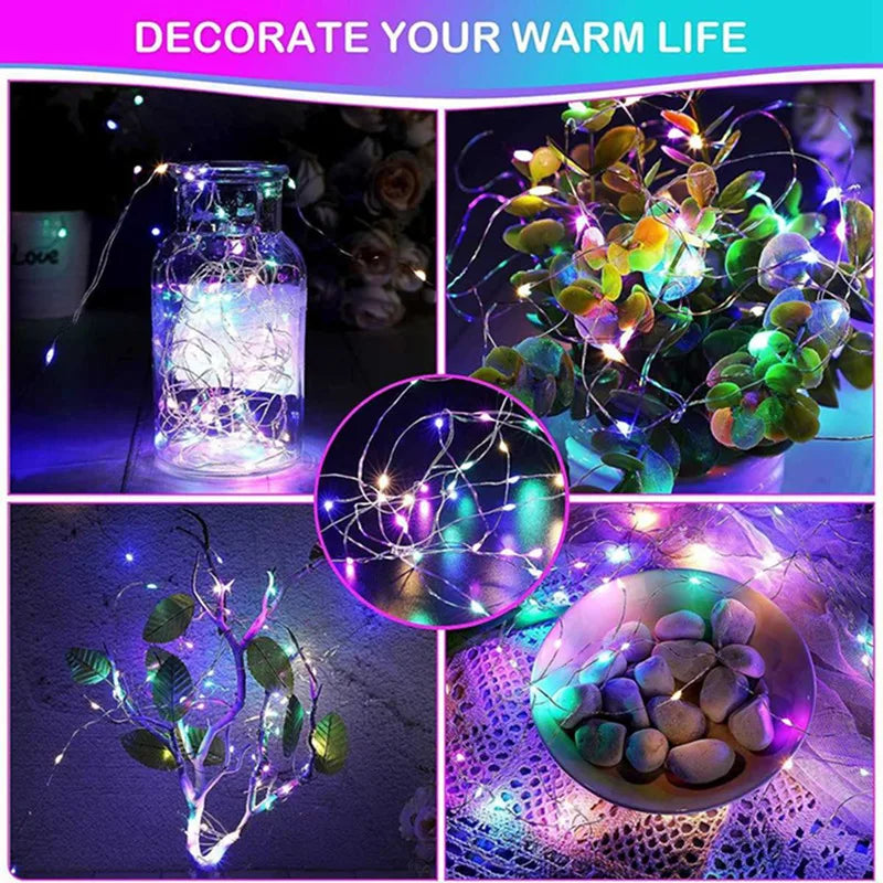 Colored Fairy Lights