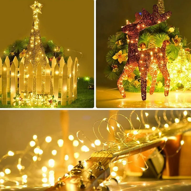 Colored Fairy Lights
