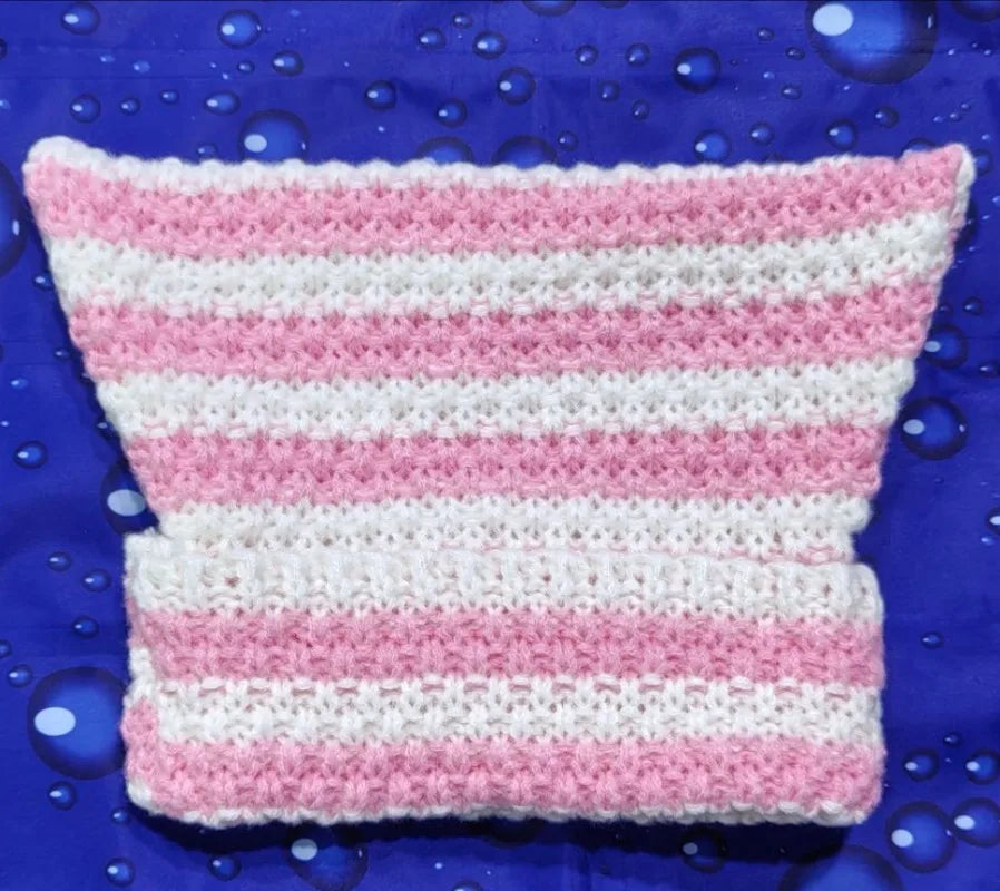 Cat Ear Beanie