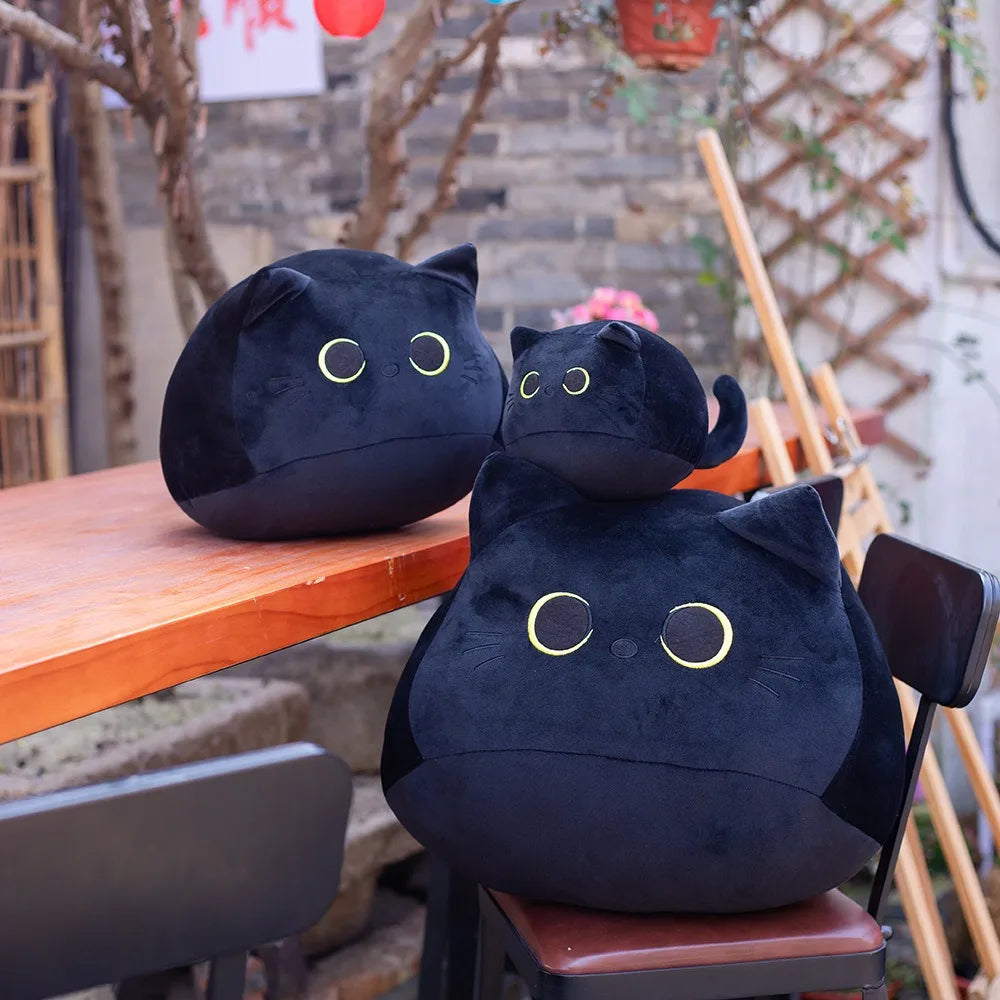 Big Eyed Cat Plushie